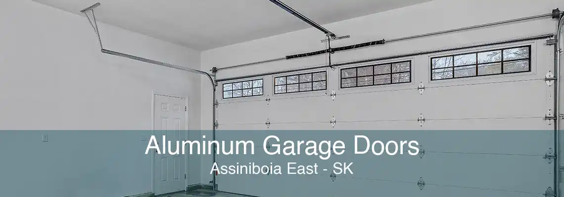 Aluminum Garage Doors Assiniboia East - SK