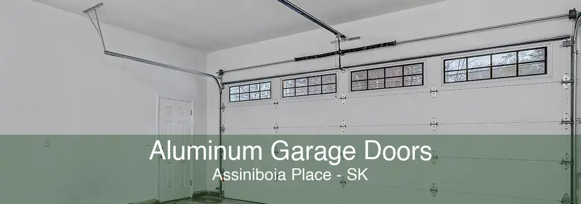 Aluminum Garage Doors Assiniboia Place - SK