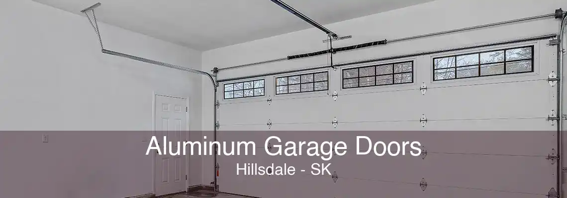Aluminum Garage Doors Hillsdale - SK