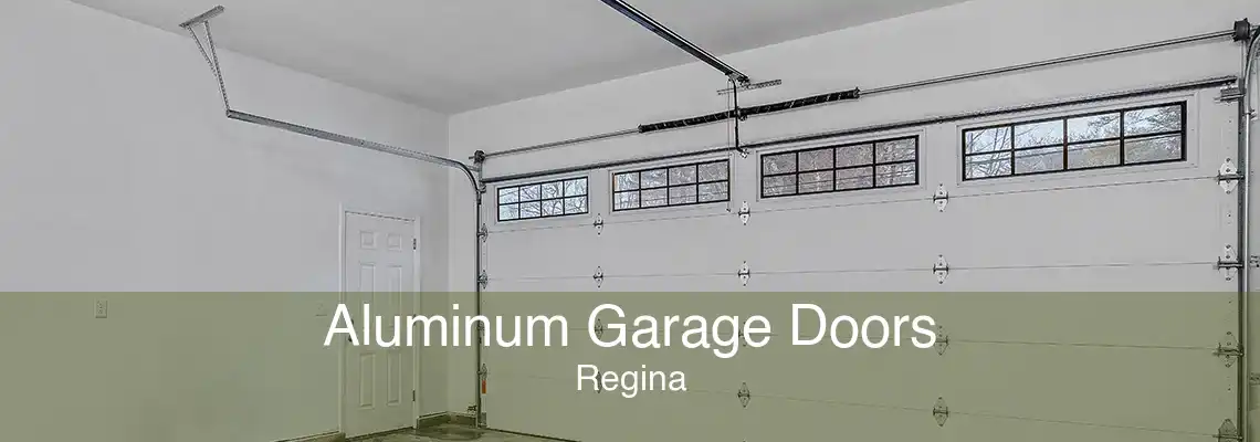 Aluminum Garage Doors Regina
