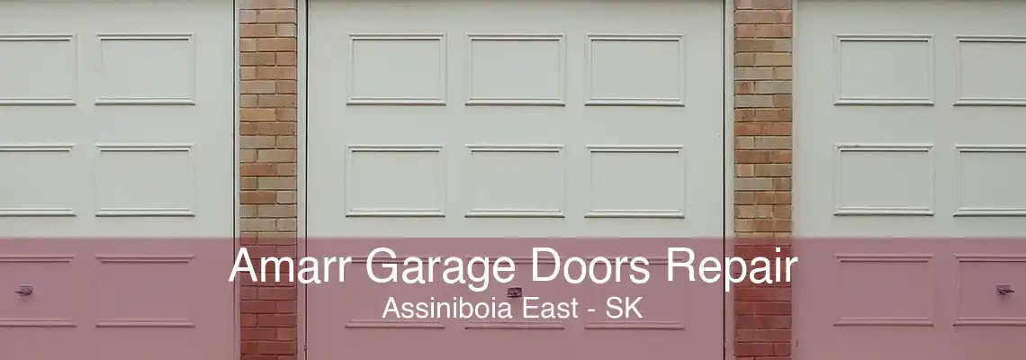 Amarr Garage Doors Repair Assiniboia East - SK