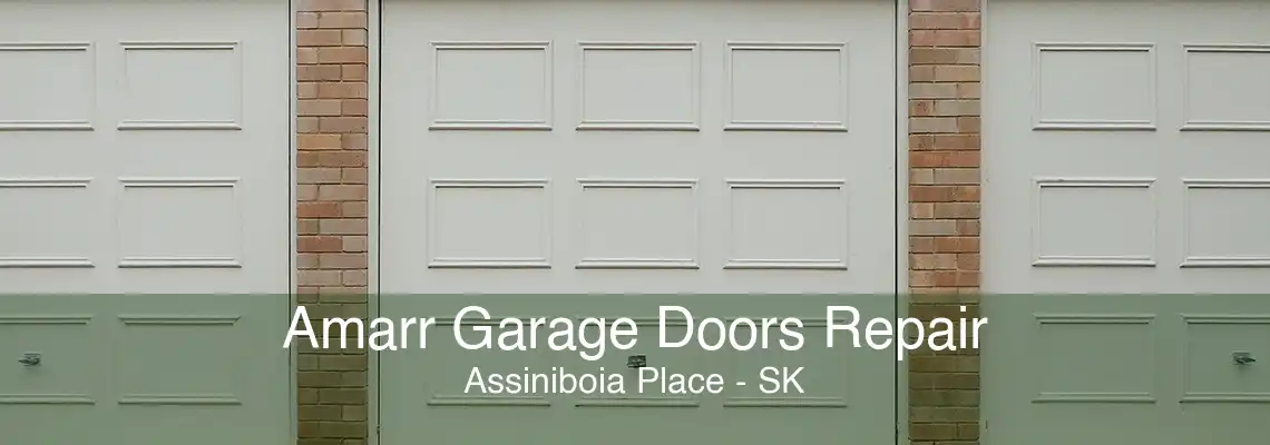 Amarr Garage Doors Repair Assiniboia Place - SK