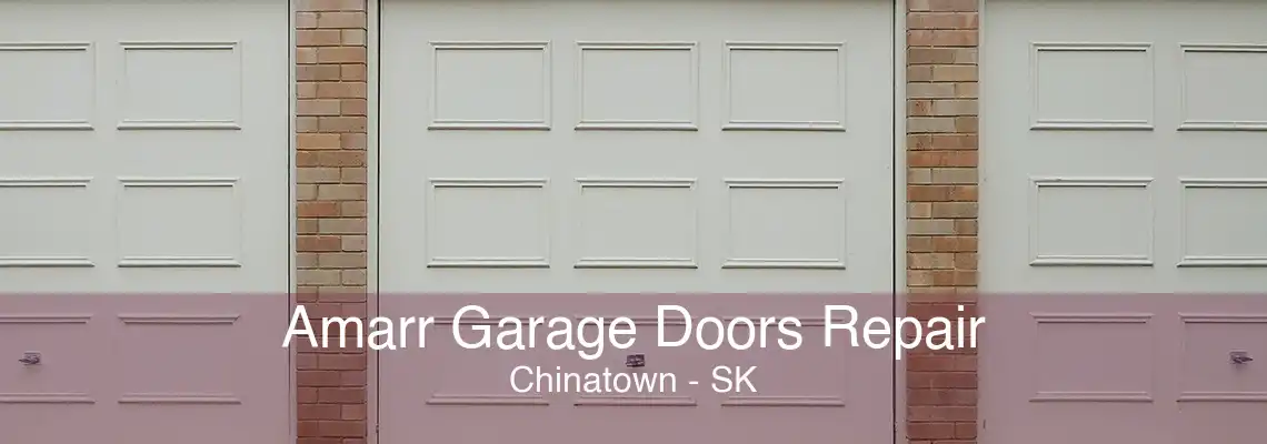 Amarr Garage Doors Repair Chinatown - SK