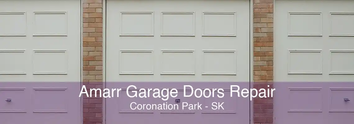 Amarr Garage Doors Repair Coronation Park - SK