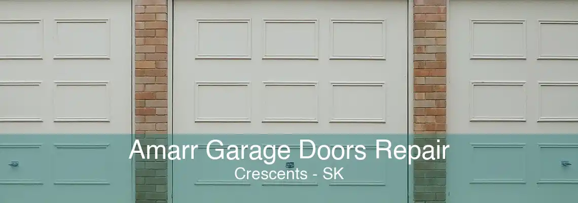 Amarr Garage Doors Repair Crescents - SK