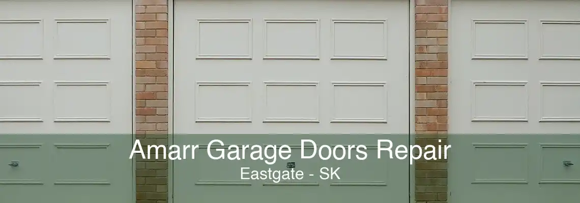 Amarr Garage Doors Repair Eastgate - SK