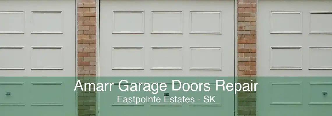 Amarr Garage Doors Repair Eastpointe Estates - SK