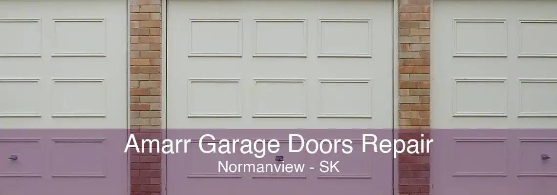 Amarr Garage Doors Repair Normanview - SK