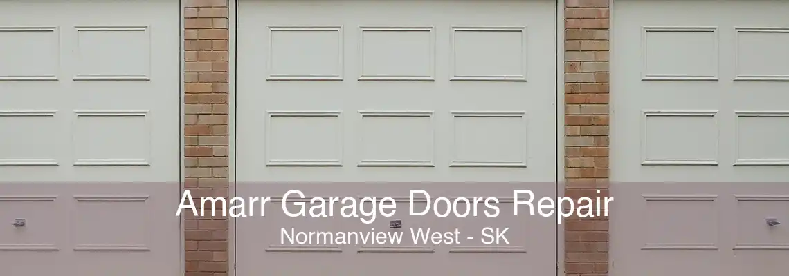 Amarr Garage Doors Repair Normanview West - SK