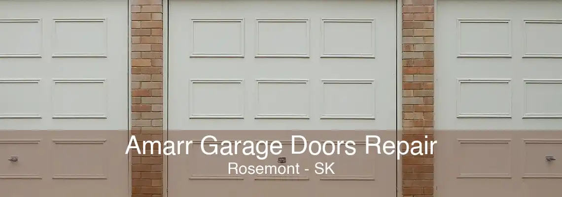 Amarr Garage Doors Repair Rosemont - SK