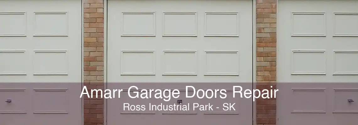 Amarr Garage Doors Repair Ross Industrial Park - SK