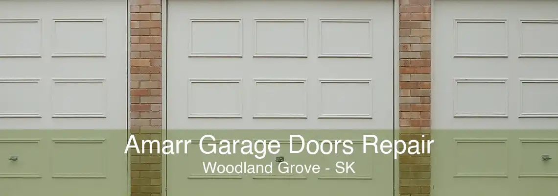 Amarr Garage Doors Repair Woodland Grove - SK