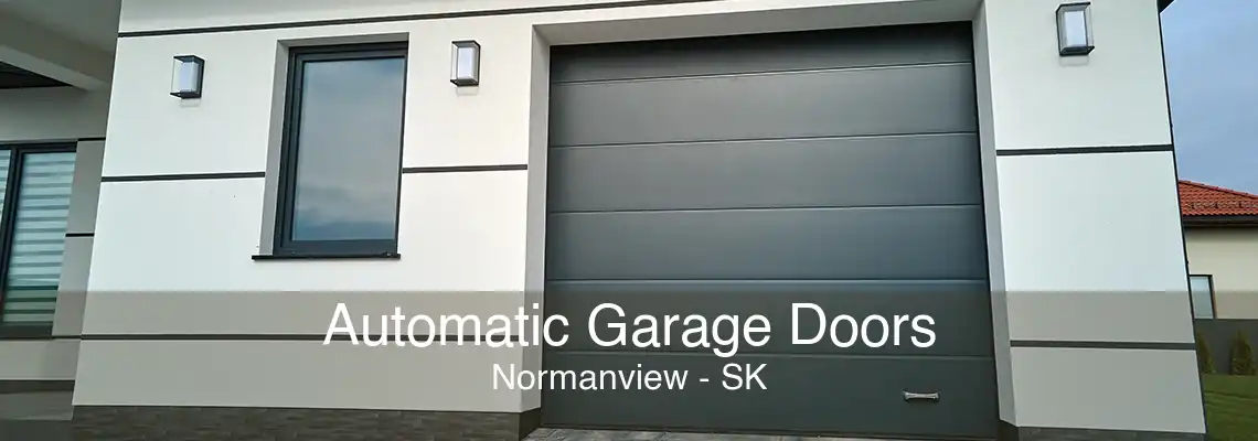 Automatic Garage Doors Normanview - SK
