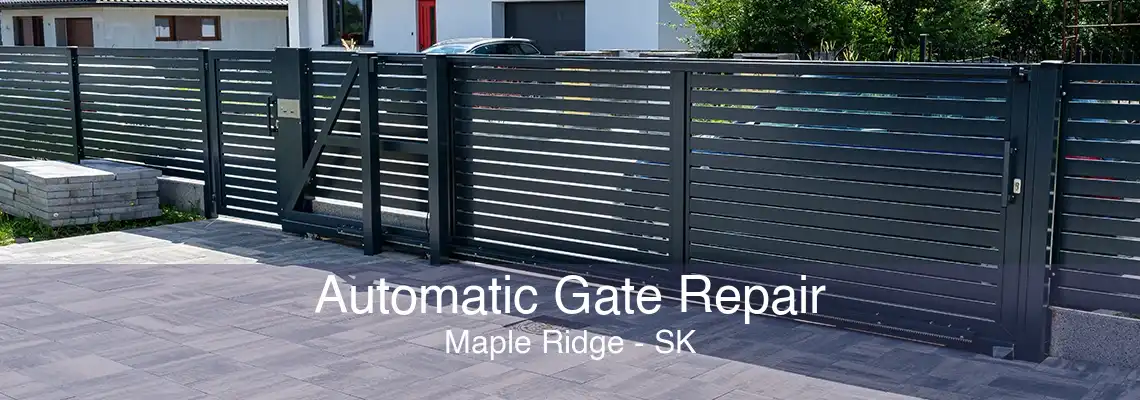 Automatic Gate Repair Maple Ridge - SK