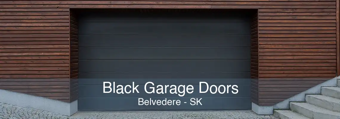 Black Garage Doors Belvedere - SK