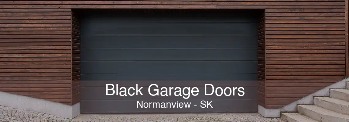 Black Garage Doors Normanview - SK
