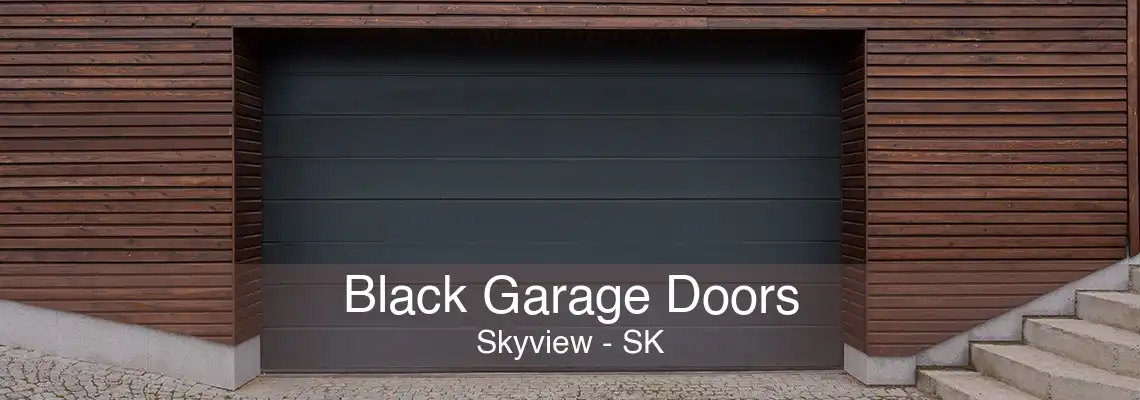 Black Garage Doors Skyview - SK