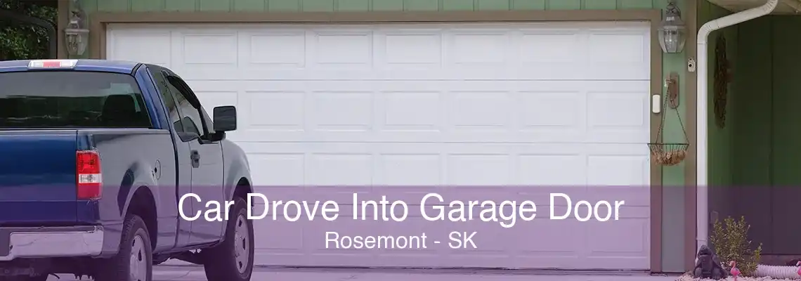 Car Drove Into Garage Door Rosemont - SK