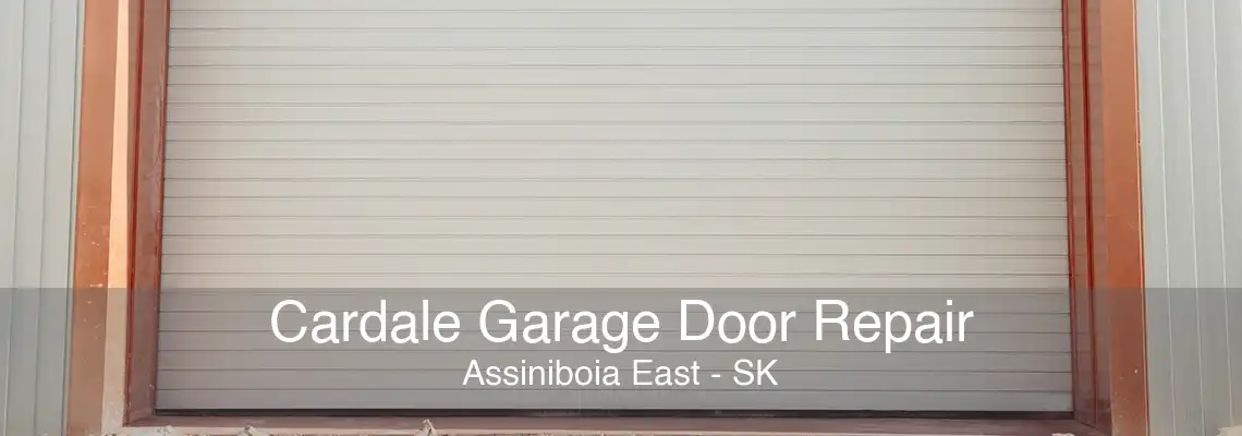 Cardale Garage Door Repair Assiniboia East - SK