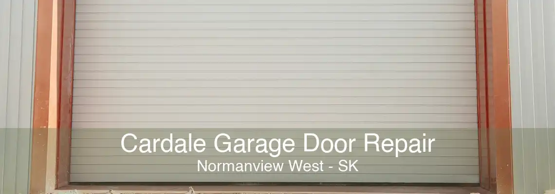 Cardale Garage Door Repair Normanview West - SK