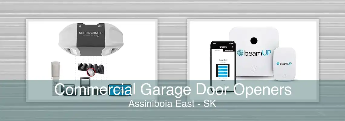 Commercial Garage Door Openers Assiniboia East - SK