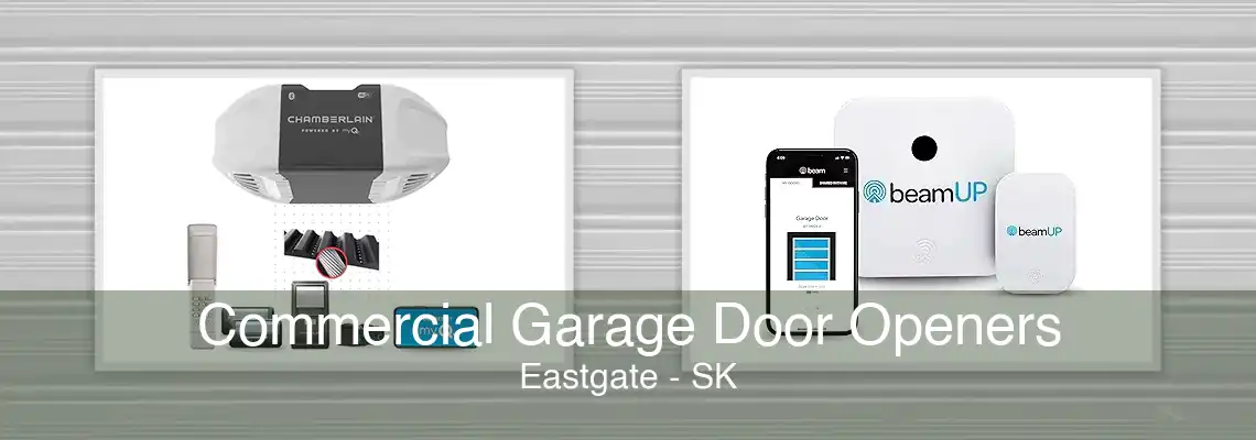 Commercial Garage Door Openers Eastgate - SK