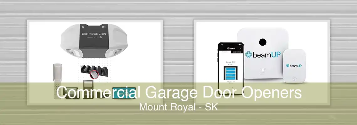 Commercial Garage Door Openers Mount Royal - SK