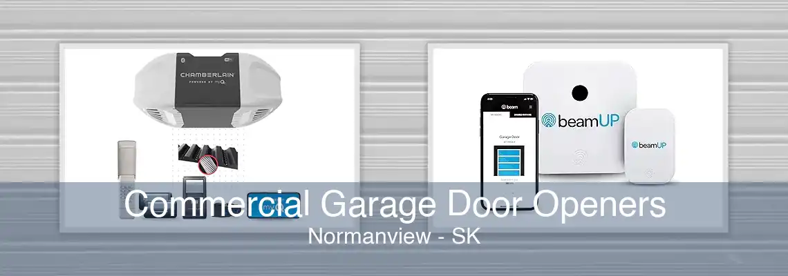 Commercial Garage Door Openers Normanview - SK