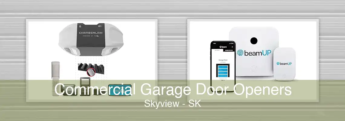 Commercial Garage Door Openers Skyview - SK
