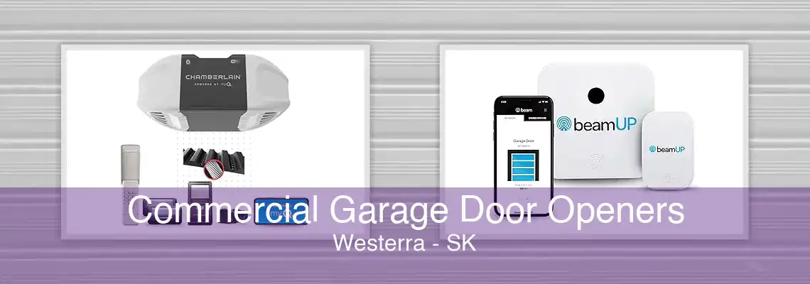 Commercial Garage Door Openers Westerra - SK