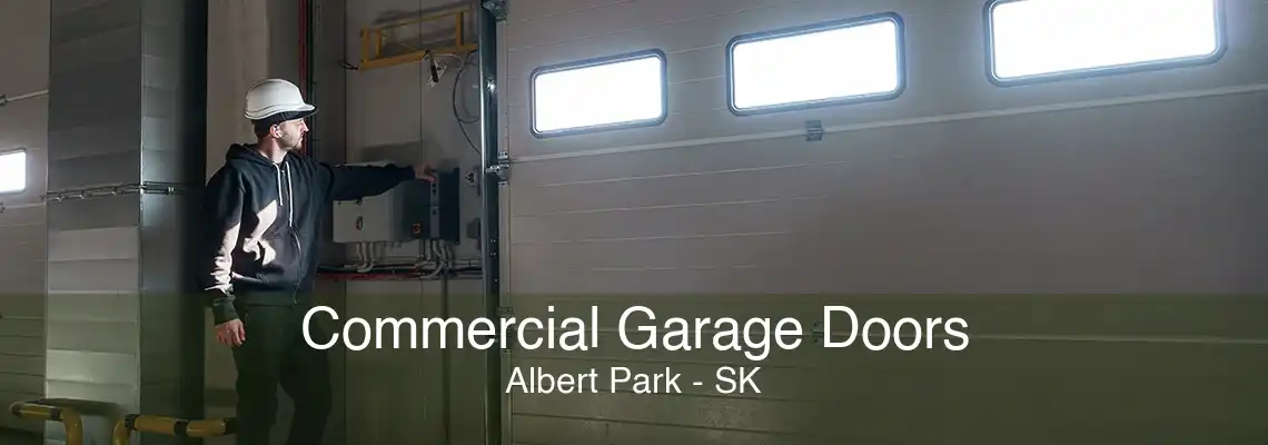 Commercial Garage Doors Albert Park - SK