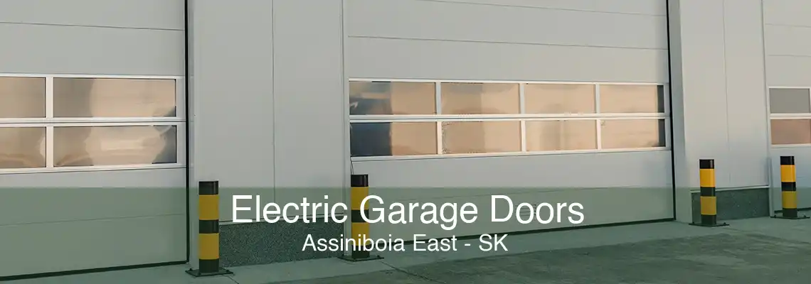 Electric Garage Doors Assiniboia East - SK