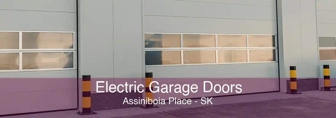 Electric Garage Doors Assiniboia Place - SK