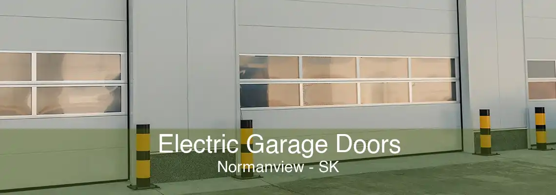 Electric Garage Doors Normanview - SK