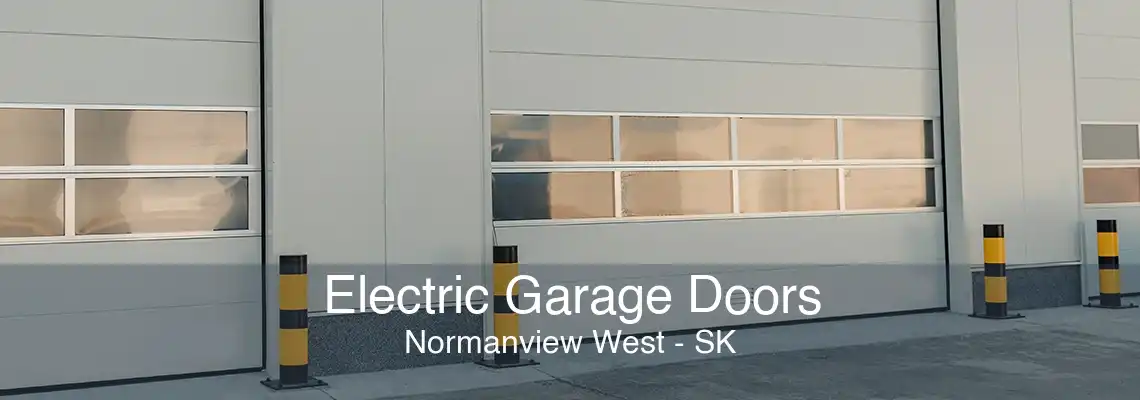 Electric Garage Doors Normanview West - SK