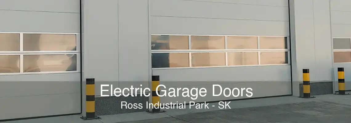 Electric Garage Doors Ross Industrial Park - SK
