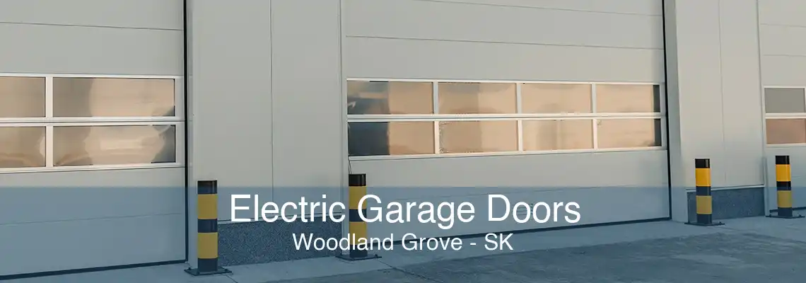 Electric Garage Doors Woodland Grove - SK