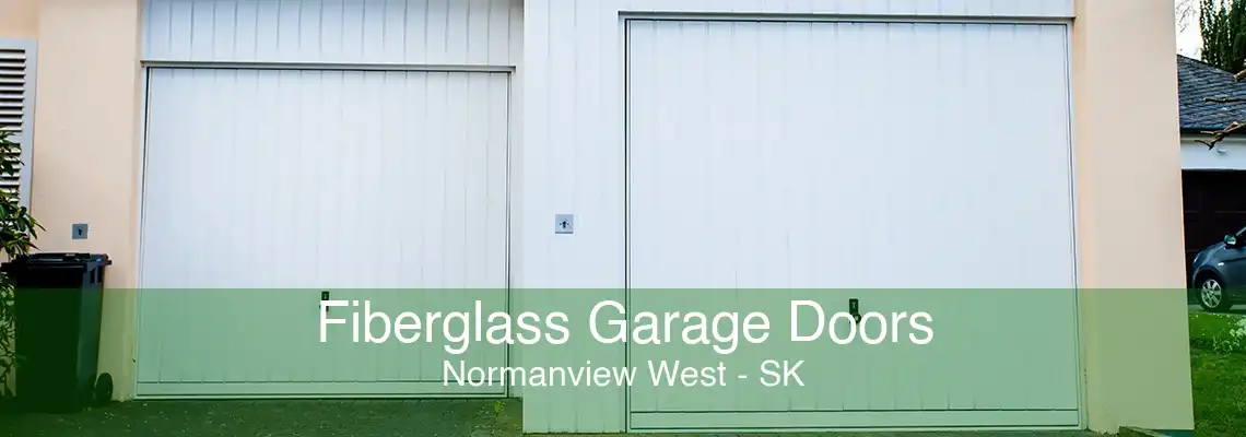 Fiberglass Garage Doors Normanview West - SK