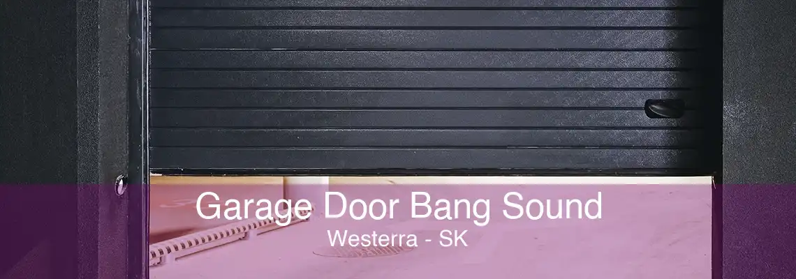 Garage Door Bang Sound Westerra - SK