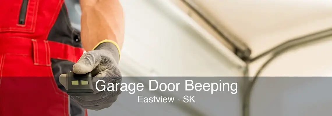 Garage Door Beeping Eastview - SK