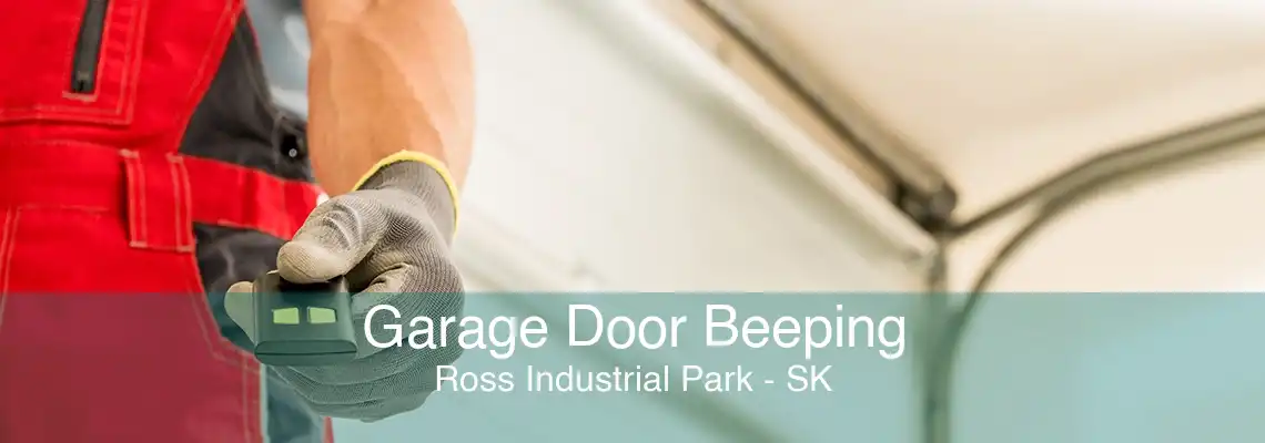 Garage Door Beeping Ross Industrial Park - SK