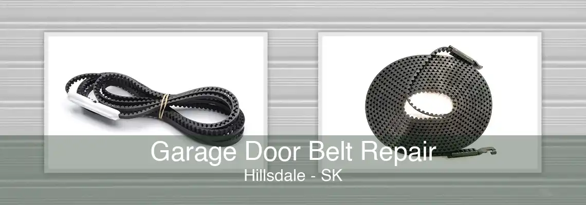 Garage Door Belt Repair Hillsdale - SK