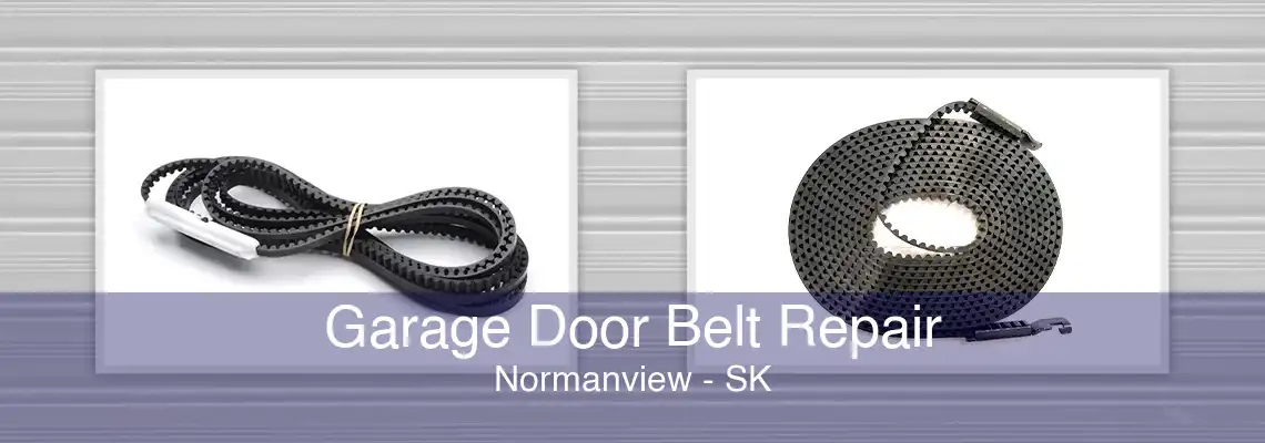Garage Door Belt Repair Normanview - SK