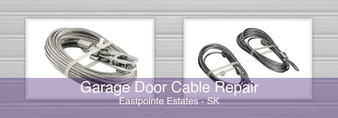 Garage Door Cable Repair Eastpointe Estates - SK