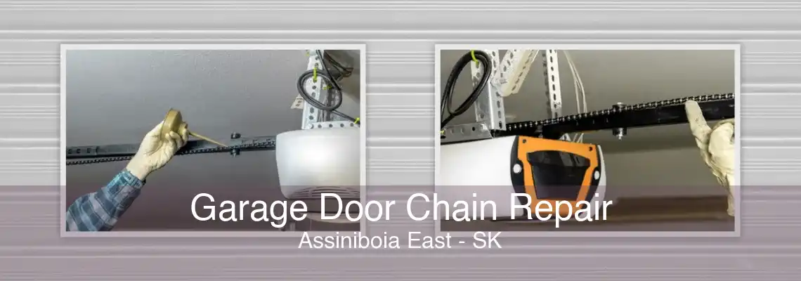 Garage Door Chain Repair Assiniboia East - SK