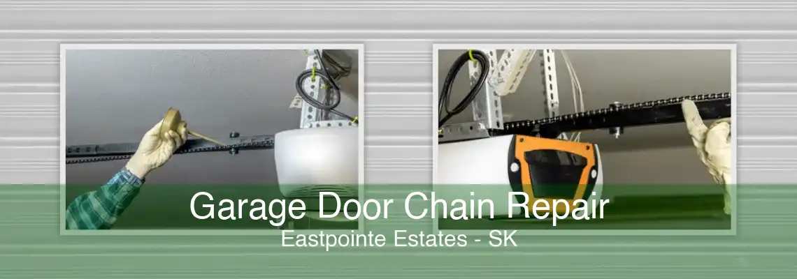 Garage Door Chain Repair Eastpointe Estates - SK