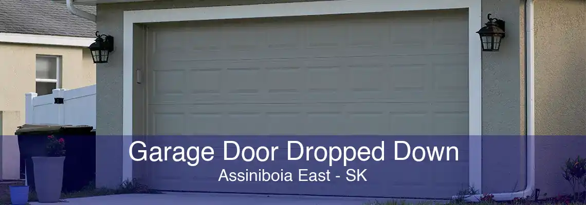 Garage Door Dropped Down Assiniboia East - SK