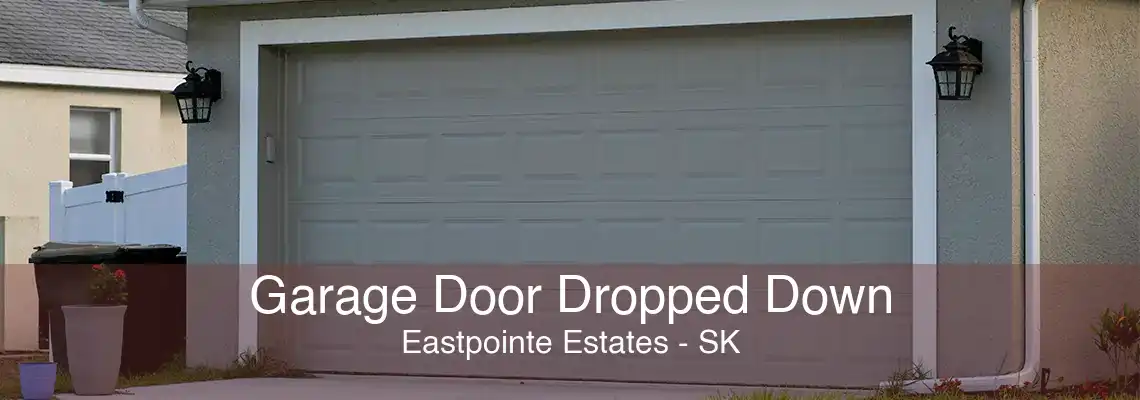 Garage Door Dropped Down Eastpointe Estates - SK
