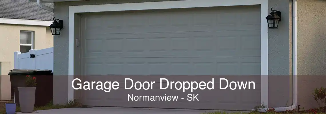 Garage Door Dropped Down Normanview - SK