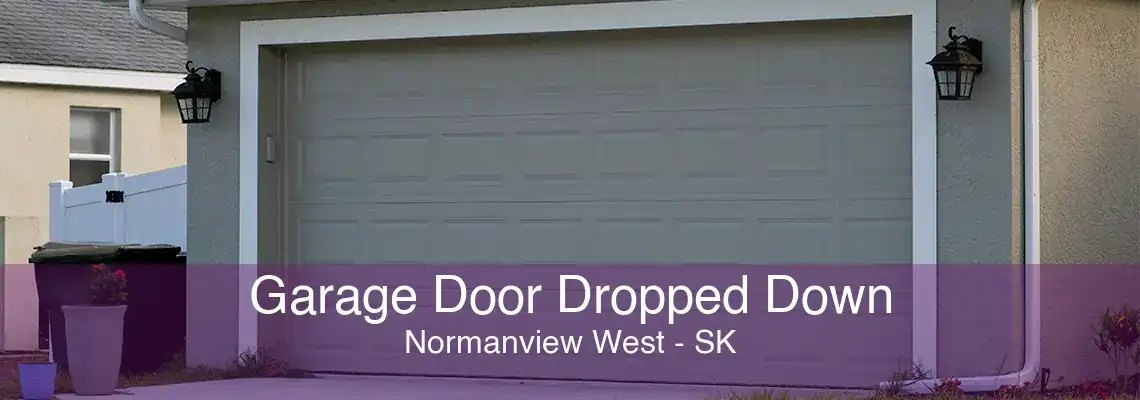 Garage Door Dropped Down Normanview West - SK